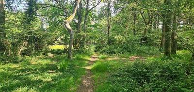 Terrain seul à Argol en Finistère (29) de 40920 m² à vendre au prix de 350000€ - 3