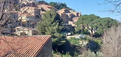 Terrain seul à Ville-di-Paraso en Haute-Corse (2B) de 1100 m² à vendre au prix de 90650€ - 3