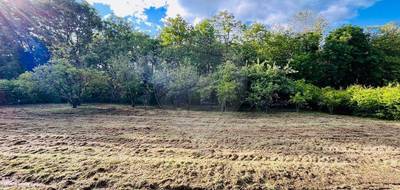 Terrain seul à Éloise en Haute-Savoie (74) de 1000 m² à vendre au prix de 195000€ - 3