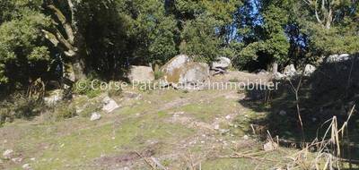 Terrain seul à Zonza en Corse-du-Sud (2A) de 1978 m² à vendre au prix de 72500€ - 4