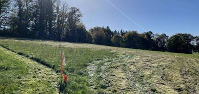 Terrain seul à Bonnac-la-Côte en Haute-Vienne (87) de 1909 m² à vendre au prix de 47500€ - 4