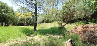 Terrain seul à Saint-Hippolyte-du-Fort en Gard (30) de 682 m² à vendre au prix de 94000€ - 3