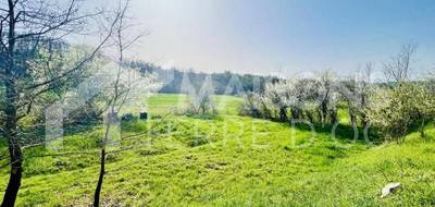 Programme terrain + maison à Saliès en Tarn (81) de 1028 m² à vendre au prix de 237947€ - 3
