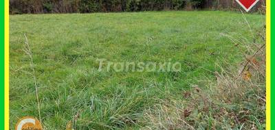 Terrain seul à Malicorne en Allier (03) de 3000 m² à vendre au prix de 35000€ - 2