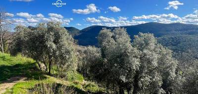 Terrain seul à Bagnols-en-Forêt en Var (83) de 1300 m² à vendre au prix de 260000€ - 1