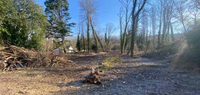Terrain seul à Étampes en Essonne (91) de 2000 m² à vendre au prix de 120000€ - 4