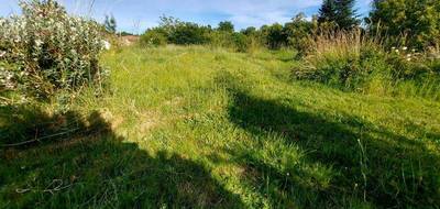 Terrain seul à Castelsarrasin en Tarn-et-Garonne (82) de 978 m² à vendre au prix de 49000€ - 3