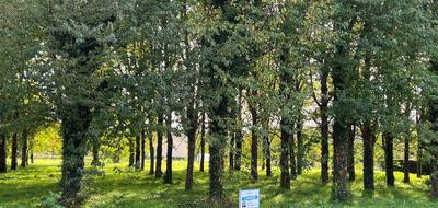Terrain seul à Vernantes en Maine-et-Loire (49) de 4816 m² à vendre au prix de 105000€ - 1