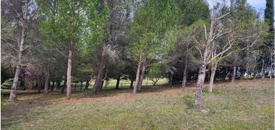 Terrain seul à Limoux en Aude (11) de 1590 m² à vendre au prix de 77000€ - 1