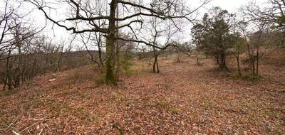 Terrain seul à Salazac en Gard (30) de 1970 m² à vendre au prix de 90000€ - 4