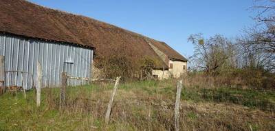 Terrain seul à Chuelles en Loiret (45) de 1341 m² à vendre au prix de 22000€ - 4