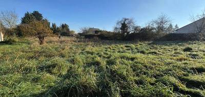 Terrain seul à Les Rairies en Maine-et-Loire (49) de 3241 m² à vendre au prix de 32500€ - 4