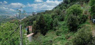 Terrain seul à Oletta en Haute-Corse (2B) de 3220 m² à vendre au prix de 290000€ - 2