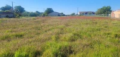 Terrain seul à Cissac-Médoc en Gironde (33) de 1130 m² à vendre au prix de 76000€ - 3