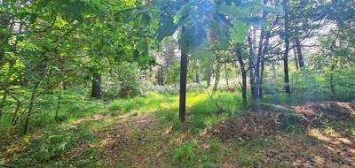 Terrain seul à Argol en Finistère (29) de 40920 m² à vendre au prix de 350000€ - 4
