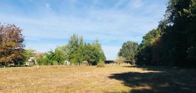 Terrain seul à Le Chautay en Cher (18) de 9346 m² à vendre au prix de 88000€ - 2