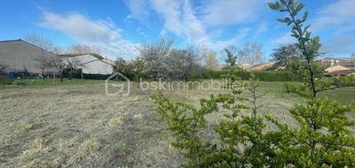 Terrain seul à Rabastens en Tarn (81) de 750 m² à vendre au prix de 84000€ - 2