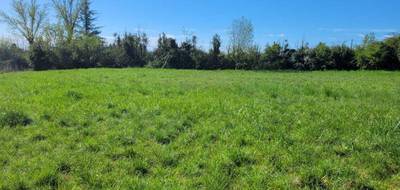 Terrain seul à Castelnau Montratier-Sainte Alauzie en Lot (46) de 1025 m² à vendre au prix de 25500€ - 2