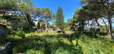 Terrain seul à Sète en Hérault (34) de 1000 m² à vendre au prix de 890000€ - 2