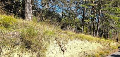 Terrain seul à Pierrefeu en Alpes-Maritimes (06) de 1000 m² à vendre au prix de 64900€ - 2