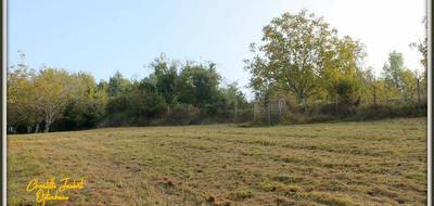 Terrain seul à Chalais en Charente (16) de 5090 m² à vendre au prix de 44000€ - 3