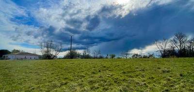 Terrain seul à La Salvetat-Belmontet en Tarn-et-Garonne (82) de 36155 m² à vendre au prix de 130000€ - 1
