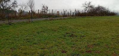 Terrain seul à Busset en Allier (03) de 1980 m² à vendre au prix de 43000€ - 1