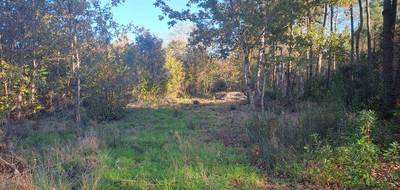 Terrain seul à Saint-Sauveur en Gironde (33) de 1080 m² à vendre au prix de 60000€ - 3