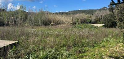 Terrain seul à Speloncato en Haute-Corse (2B) de 1980 m² à vendre au prix de 346500€ - 2