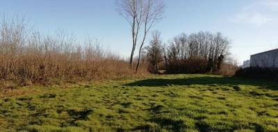Terrain seul à Pont-de-Vaux en Ain (01) de 2268 m² à vendre au prix de 45000€ - 2