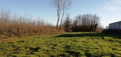 Terrain seul à Pont-de-Vaux en Ain (01) de 2268 m² à vendre au prix de 60000€ - 2