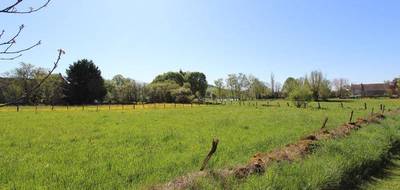 Terrain seul à Painblanc en Côte-d'Or (21) de 2348 m² à vendre au prix de 78000€ - 3