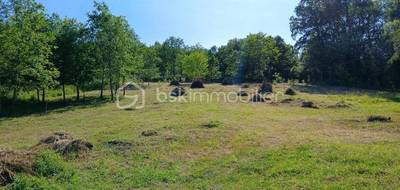 Terrain seul à Chantérac en Dordogne (24) de 4304 m² à vendre au prix de 47500€ - 1