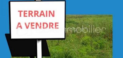 Terrain seul à Neuville-sur-Brenne en Indre-et-Loire (37) de 1000 m² à vendre au prix de 38500€ - 1