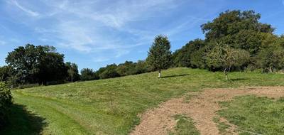 Terrain seul à Vaubexy en Vosges (88) de 10000 m² à vendre au prix de 95000€ - 4