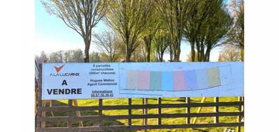 Terrain seul à Ruisseauville en Pas-de-Calais (62) de 986 m² à vendre au prix de 23720€ - 1