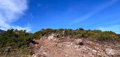 Terrain seul à Sisco en Haute-Corse (2B) de 900 m² à vendre au prix de 335000€ - 4