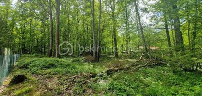 Terrain seul à Saint-Hilaire-les-Andrésis en Loiret (45) de 2363 m² à vendre au prix de 36000€ - 3