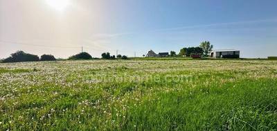 Terrain seul à Fonsomme en Aisne (02) de 4834 m² à vendre au prix de 85000€ - 1