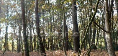 Terrain seul à Nivillac en Morbihan (56) de 14360 m² à vendre au prix de 49000€ - 2