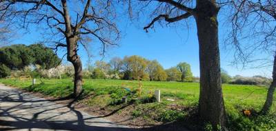 Terrain seul à Feneu en Maine-et-Loire (49) de 660 m² à vendre au prix de 77000€ - 4
