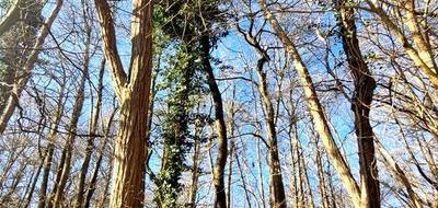 Terrain seul à Ronquerolles en Val-d'Oise (95) de 1886 m² à vendre au prix de 9400€ - 1