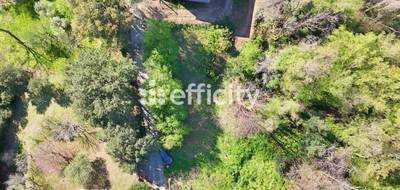 Terrain seul à Cervione en Haute-Corse (2B) de 1500 m² à vendre au prix de 105000€ - 1