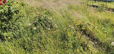 Terrain seul à Neufchef en Moselle (57) de 630 m² à vendre au prix de 122000€ - 2