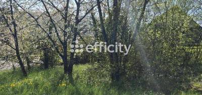 Terrain seul à Rougemont en Doubs (25) de 849 m² à vendre au prix de 24800€ - 4
