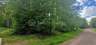 Terrain seul à Saint-Hilaire-les-Andrésis en Loiret (45) de 2363 m² à vendre au prix de 36000€ - 4