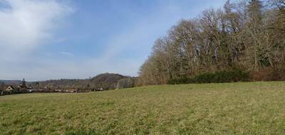 Terrain seul à Thonac en Dordogne (24) de 19000 m² à vendre au prix de 157200€ - 2