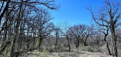 Terrain seul à Figeac en Lot (46) de 18467 m² à vendre au prix de 398340€ - 1