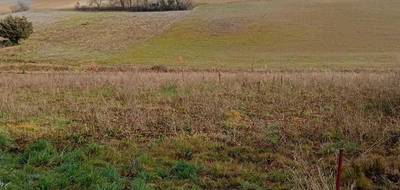 Terrain seul à Graulhet en Tarn (81) de 1250 m² à vendre au prix de 45000€ - 2