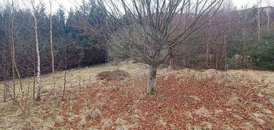Terrain seul à Gérardmer en Vosges (88) de 1689 m² à vendre au prix de 210000€ - 4